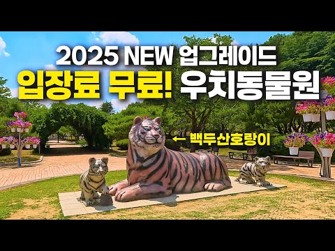 우치동물원: 무료로 즐기는 광주의 자연과 동물 체험