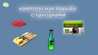 Ссылка
