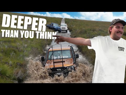 Landcruisers VS Balfour track