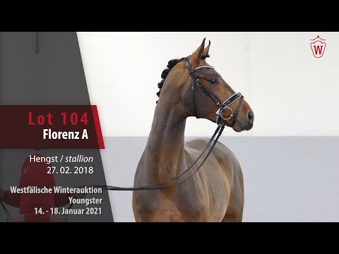 Winterauktion Youngster Lot 104 Florenz A Hengst v. Fürstenball - Rotspon