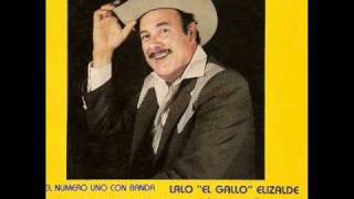 Lalo El Gallo Elizalde - Boleros y Rancheras - me ando paseando.wmv