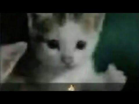 don't try to be a hero against aphelios| lux support | patch 13.14