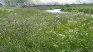 preview picture of video 'Wandelen in Eagum - Friesland Friesepas'