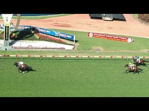 Amelia’s Dream - Silver Slipper Winner 15th March 2008