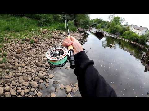 Holmankoski 5.6.2020 | Merikarvianjoki 2020 | Kalastus 2020