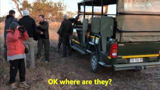 Drive in Kruger National Park (Part 1 of 7)a