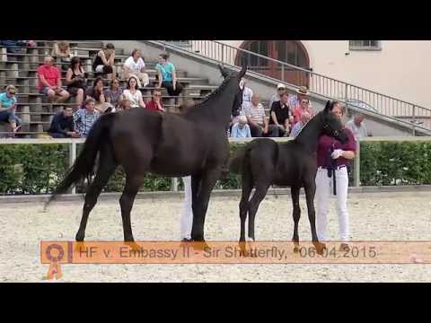 KN 13 HF v. Embassy II - Sir Shutterfly