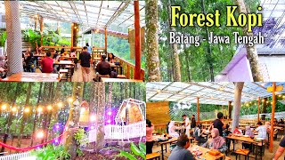 Download lagu Forest Kopi Kembang Langit Batang Cafe Di Tengah H... mp3