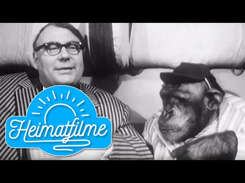 Heinz Erhardt | Be peaceful and comfortable | Oh Egon! | 1961 HD