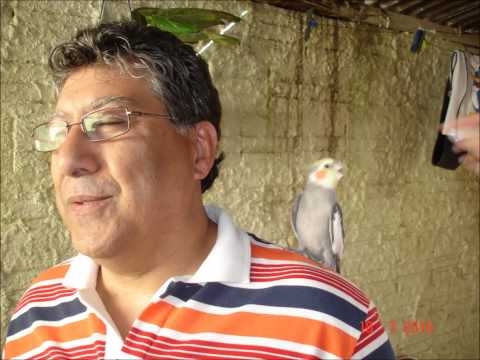 Saudade Dela video