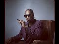 Bounty Killer - Stainless Grass Cyaat Riddim (Remix)