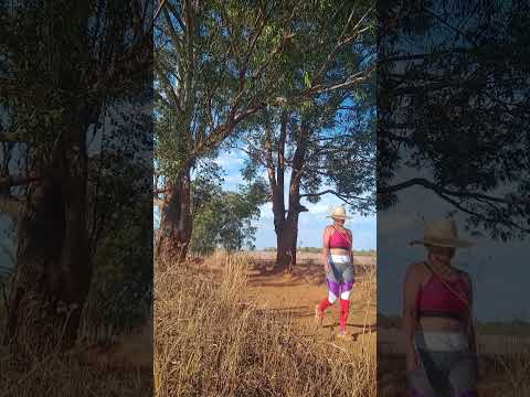 Caminhada sertaneja Comunidade Santa Rita município Vianópolis Goiás Brasil