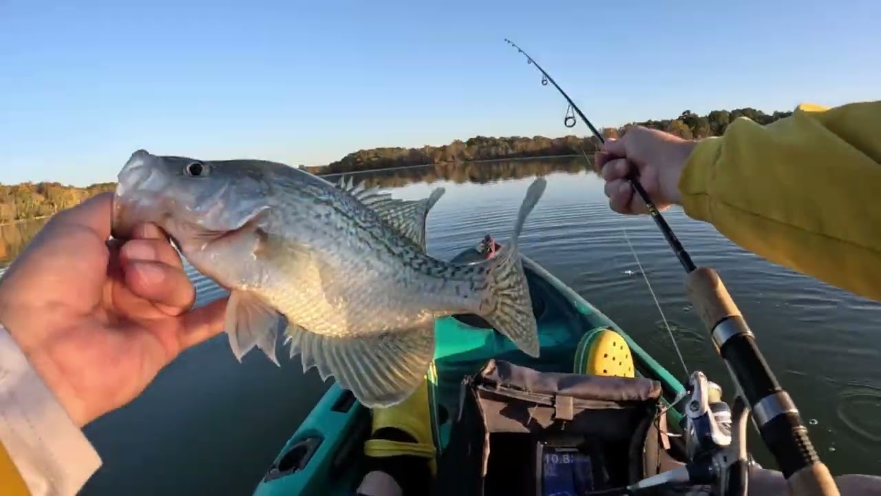 It Is Time, Load Your Boat With Crappie!