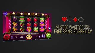 Wildz Casino Review: Claim Your Bonus Now (100% Up to $2000)