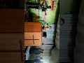 Anita Samual Live