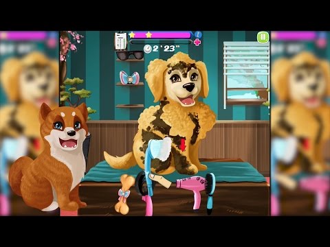 Become a Puppies Groomer Video