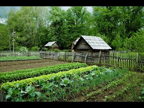 , title : 'From Worms To Chickens To Garden. Joanne Johnson. Haliburton Homesteaders. Local Issues.'