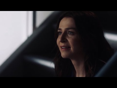 Greys Anatomy 17x17 Link tells Amelia about fostering Luna