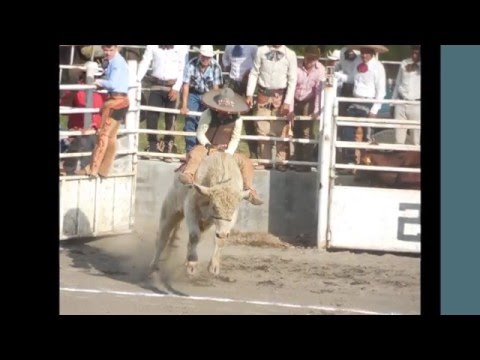 15 11 2015 ELIMINATORIA 4° CAMPEONATO DE JINETEO ESTILO CHARRO