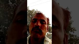 10 अप्रैल 2019