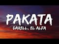 Darell El Alfa PAKATA