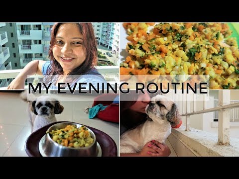 My Evening Routine (Vlog) | Why My Day Started So Late | Easy Home Cooked Nutritious Dog Meal