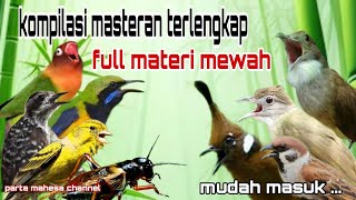 Download lagu Masteran Kompilasi Mewah Untuk Semua Jenis Burung Murai batu, Cucak ijo mp3