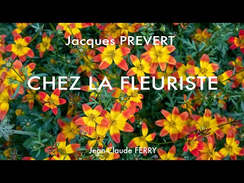 Chez la fleuriste (Jacques Prévert)