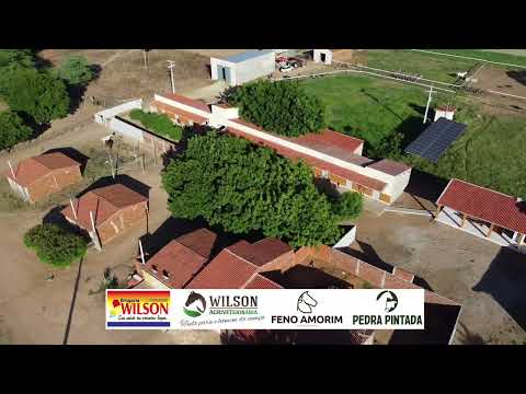Fazenda Pedra Pintada na zona rural de Felipe Guerra, interior do Estado do RN. Conheça!