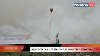 Kebakaran Gambut Pelalawan Mengamuk, Polda Riau Kejar Pelaku