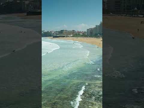 Top beautiful seen on beach || #shortsfeed #natural #viral #naat