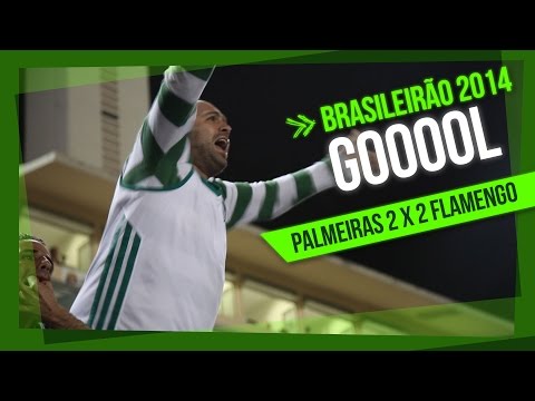 Gol da arquibancada - Palmeiras 2 x 2 Flamengo - Campeonato Brasileiro 2014