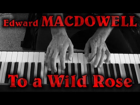 Edward MACDOWELL: Op. 51, No. 1 (To a Wild Rose)