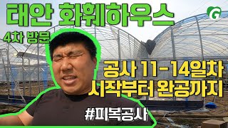 [공사 시작부터 완공까지] 태안 화훼하우스 4일차 #피복작업 #비닐하우스시공