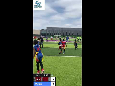 Lions v Cats 8u ship