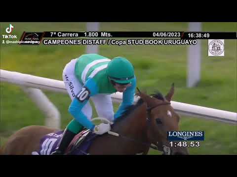 Serie Campeones  JUSTICE CAT   TERRIBLE CHUCHO  PACHOLLI LITTLE ROY    TETUAN DON BIMBO    SOCRATES