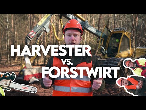 Man vs. machine! Who is better: harvesters or foresters? - Forestry explained