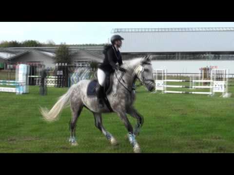 Ali & Meteor Stilspringprüfung Kl. A* Bodelshausen 20.09.15