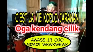 Download lagu C'est La Vie koplo Jharanan mp3