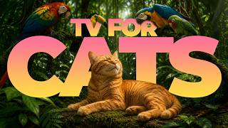 TV For Cats - 10 HOURS of Tropical Birds, Underwater Coral Reefs & Music for Cats