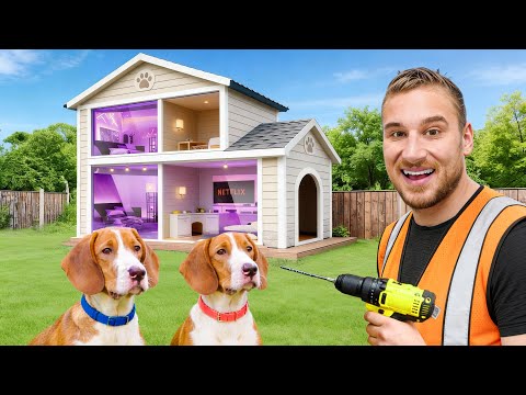 NAPRAVIO SAM PSIMA KUĆICU IZ SNOVA