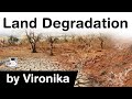 What Is Land Degradation Causes Effects Of Land Degradation Sustainable Management Of Land