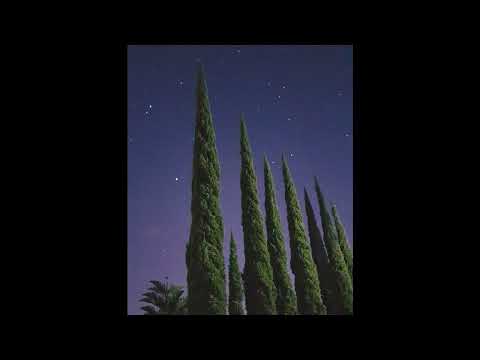 (FREE) Young Thug x Travis Scott Type Beat - "Faces" (prod. lock)