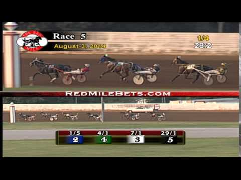 Red Mile Racetrack Race 5 08-03-14
