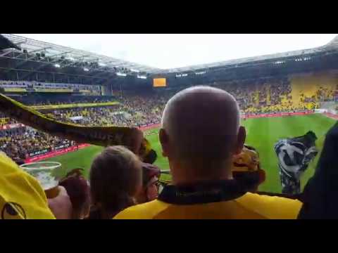 SGD - FCH / Der 12. Mann im K4