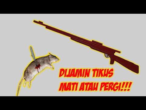 MEMBUAT SENDIRI SENAPAN PENGUSIR TIKUS