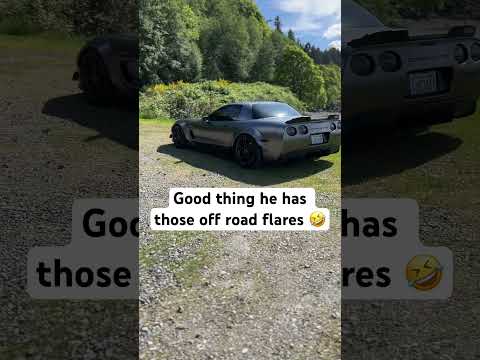 What did you expect 😮‍💨🤷‍♂️ #c5 #car #fyp