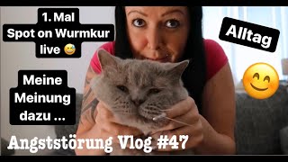 1. Mal Spot on Wurmkur für die Katzen | Angststörung Vlog #47 || Uschi Time