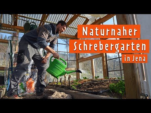 Naturnaher Kleingarten in Jena mit viel Obst und Gemüse | MDR Garten