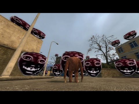 angry munci is gone...